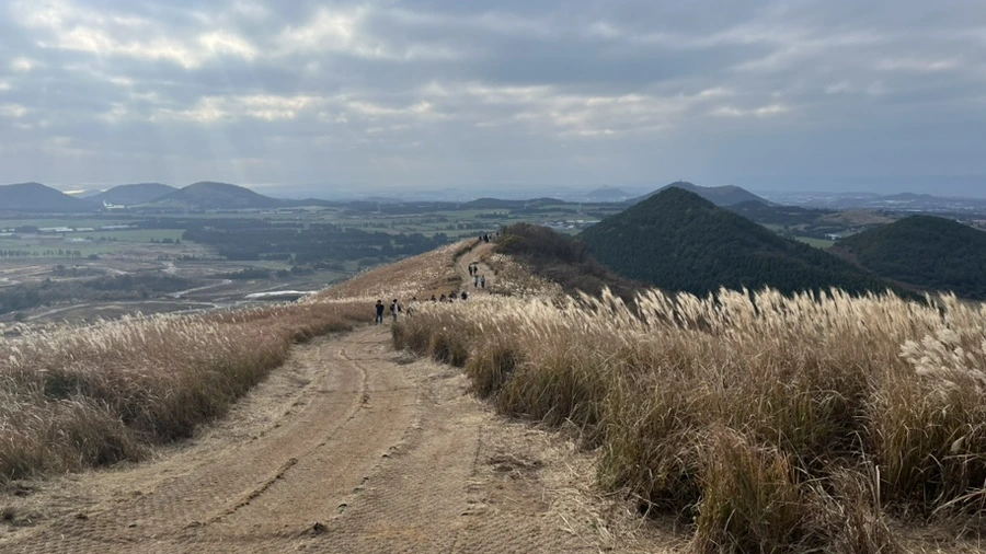 IMG_5897.jpg?type=w966