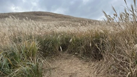 IMG_5942.jpg?type=w466