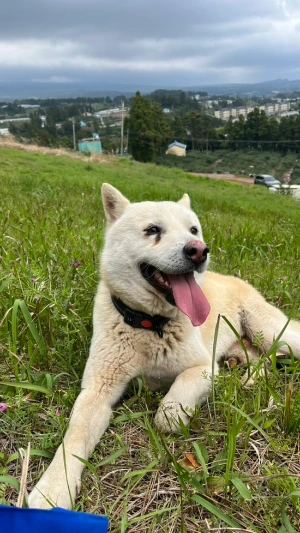 IMG_0845.jpg?type=w966