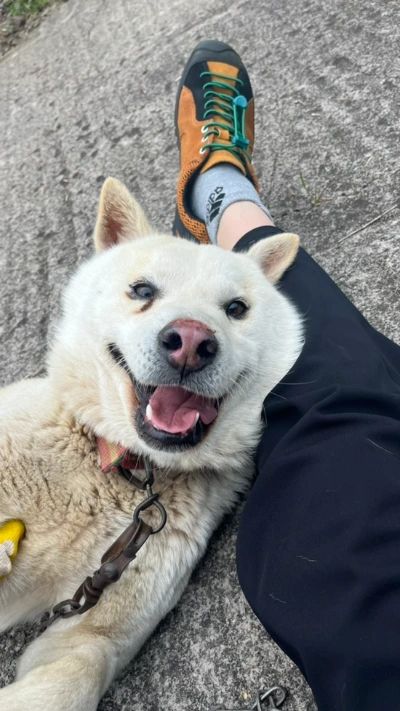 IMG_9158.jpg?type=w966