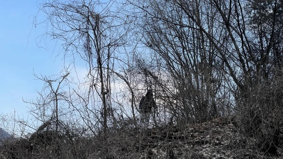 IMG_7518.jpg?type=w966