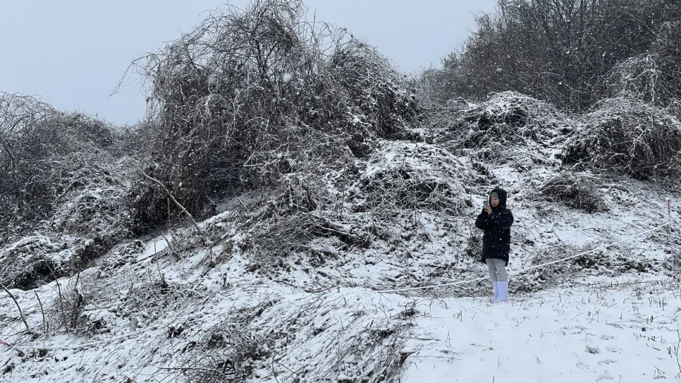 IMG_6701.jpg?type=w966