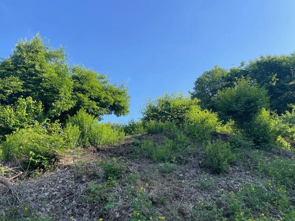 IMG_8742.JPG?type=w966