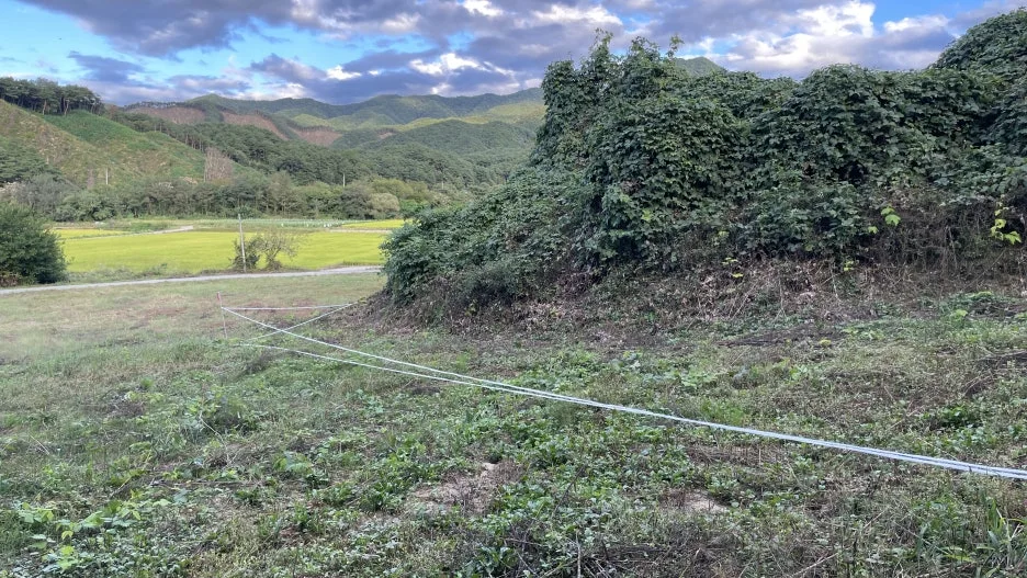 IMG_4994.jpg?type=w1