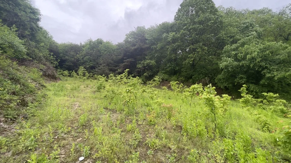 IMG_2756.jpg?type=w966