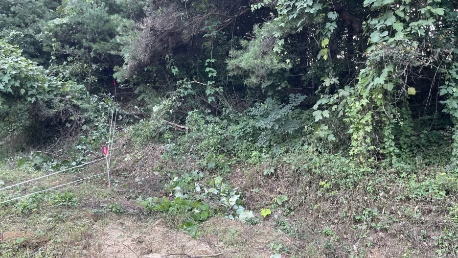 IMG_4993.jpg?type=w1