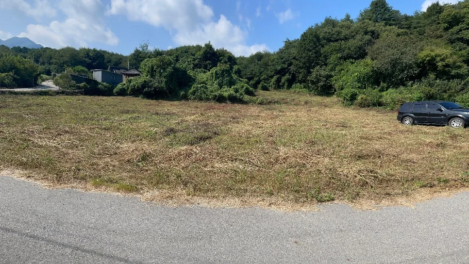 IMG_4667.JPG?type=preview966_544