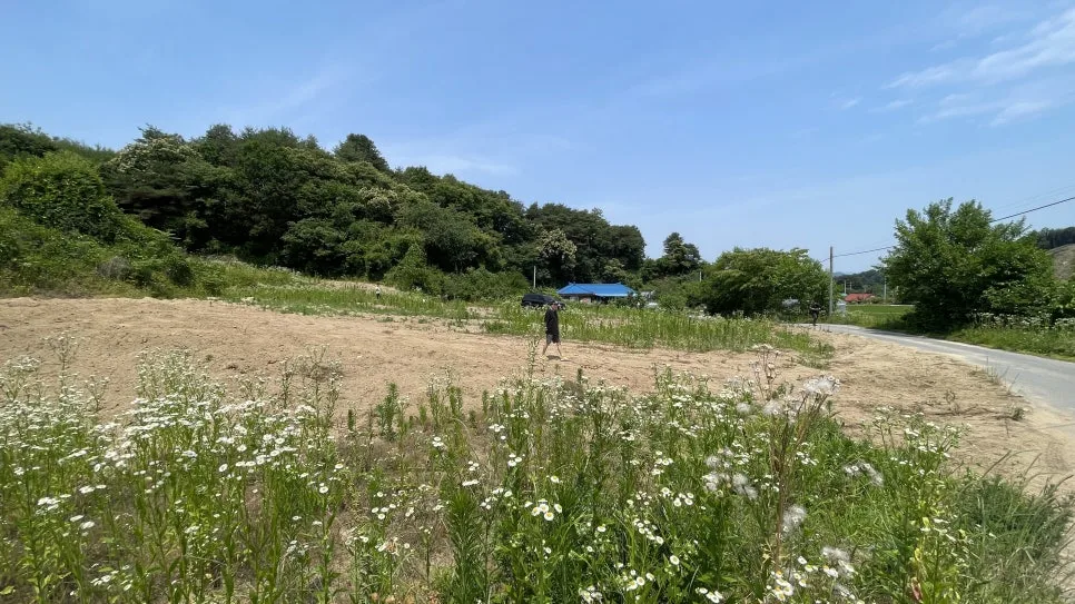 IMG_3251.jpg?type=w966