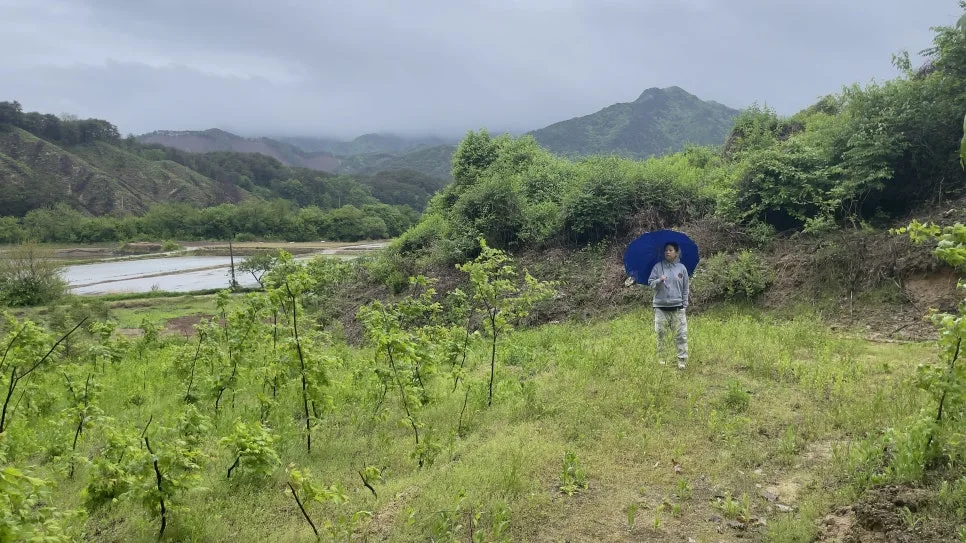 IMG_2758.jpg?type=w966