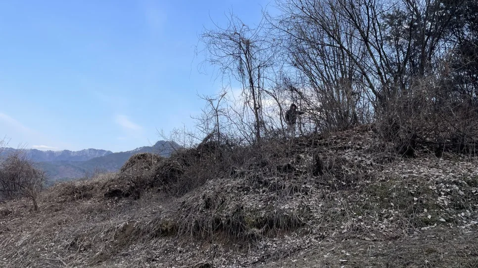 IMG_7517.jpg?type=w966