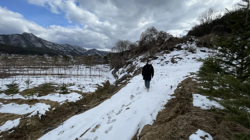 IMG_1442.jpg?type=w966