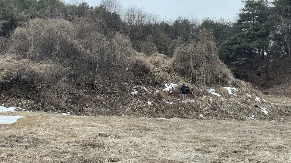 IMG_7263.jpg?type=w966