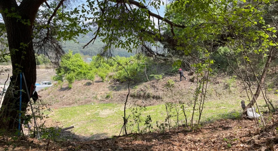 SE-5d605154-7cbb-44bb-bc7c-55e4d0d5cd58.jpg?type=w966