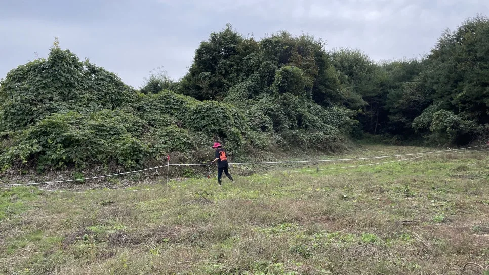 IMG_5368.jpg?type=w966