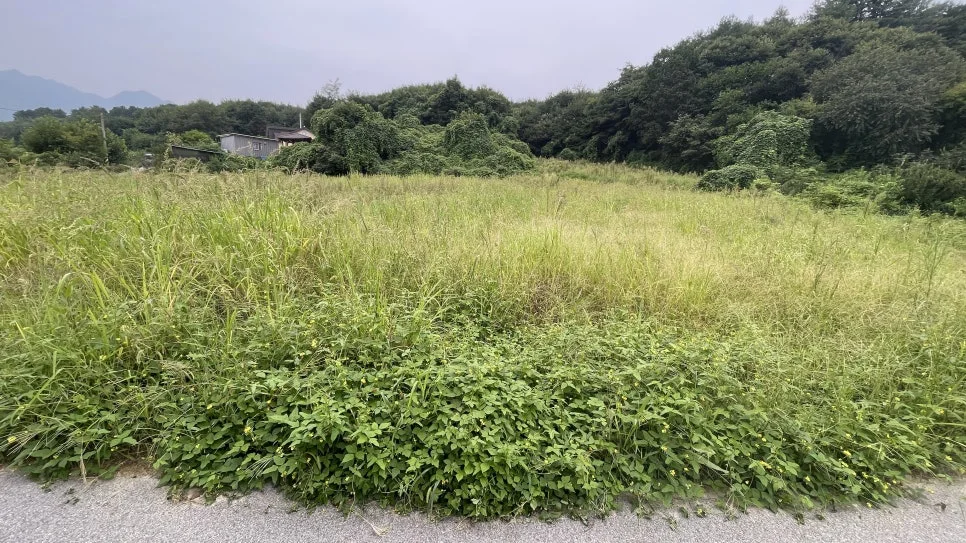 IMG_4335.jpg?type=w966