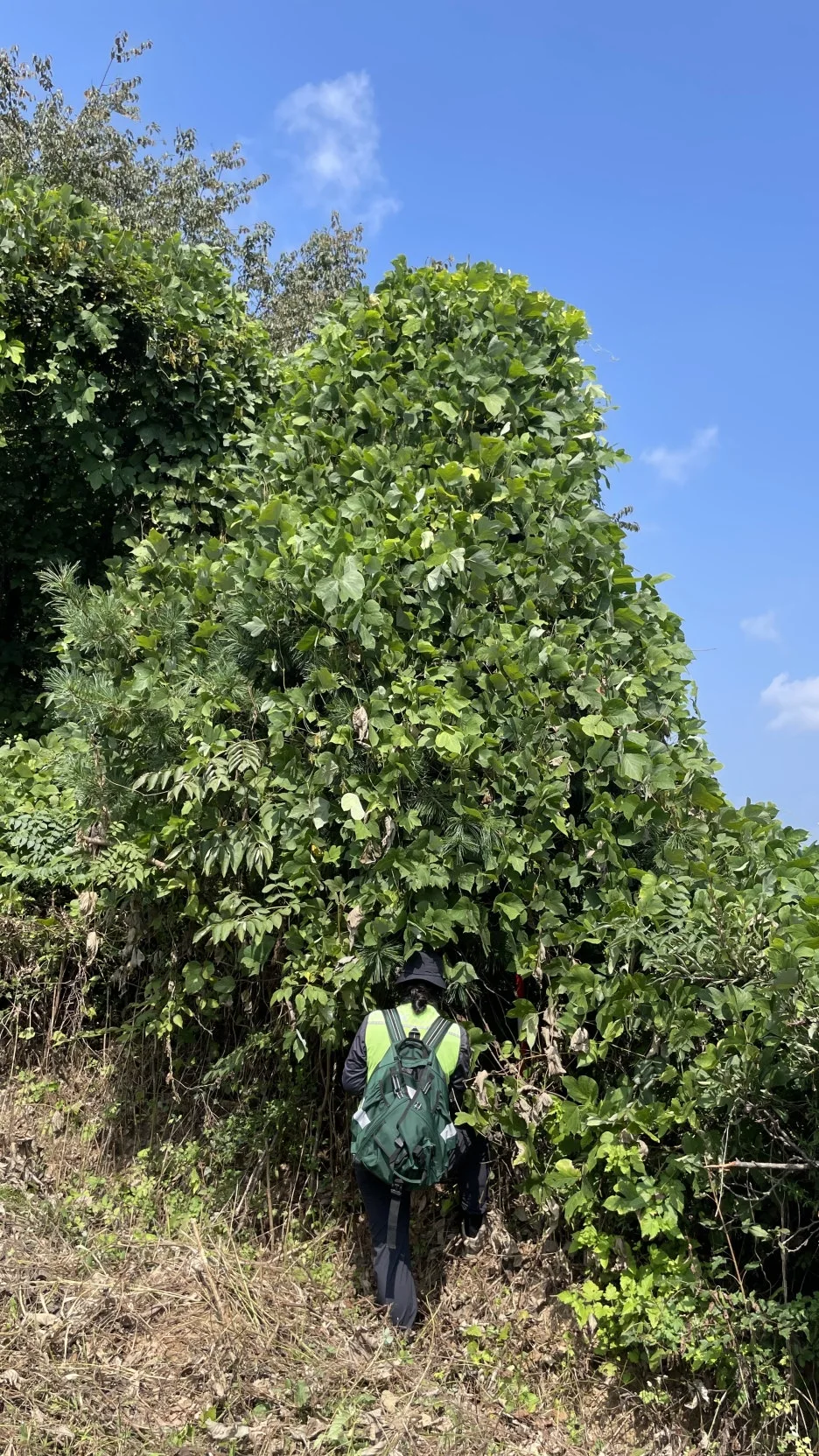 IMG_4676.jpg?type=w1