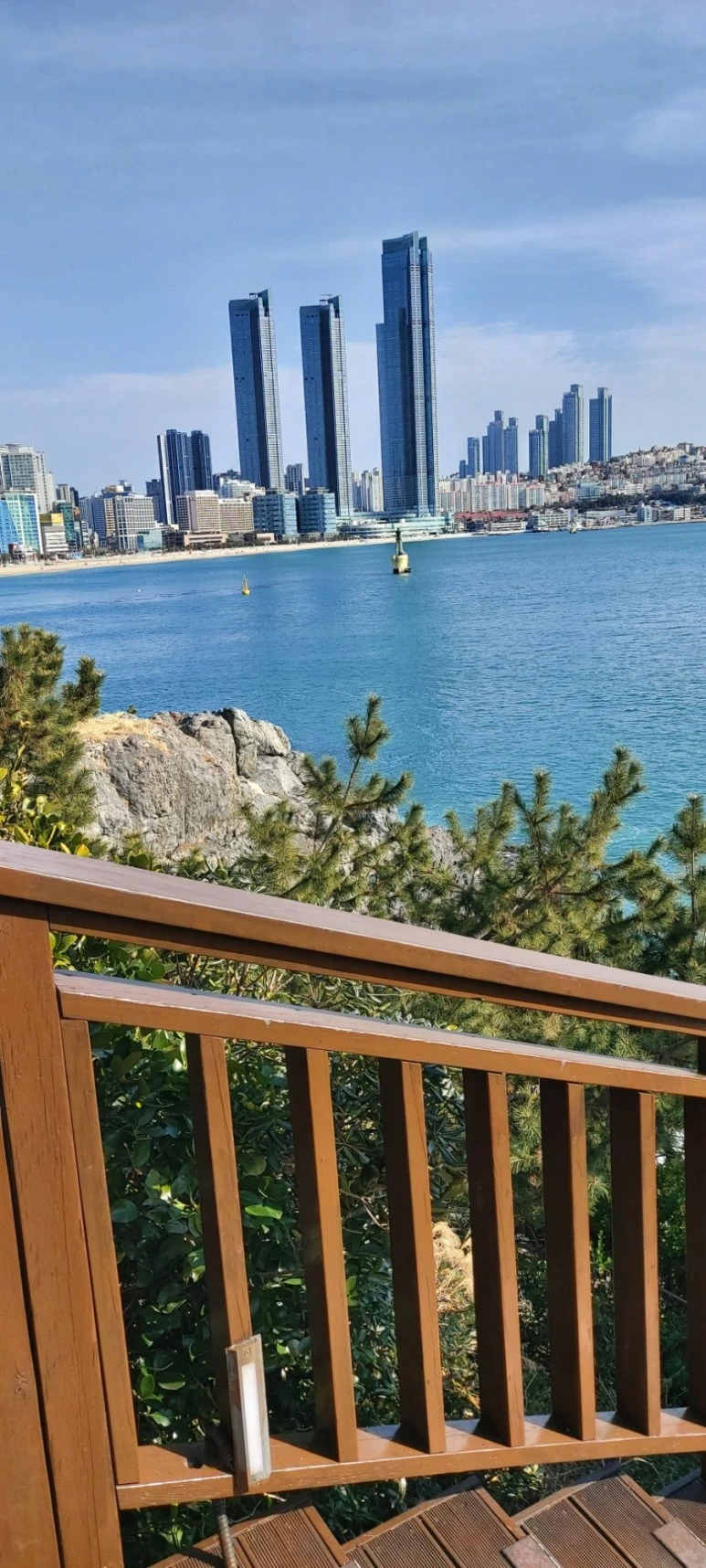 20220117%EF%BC%BF111807.jpg?type=w773