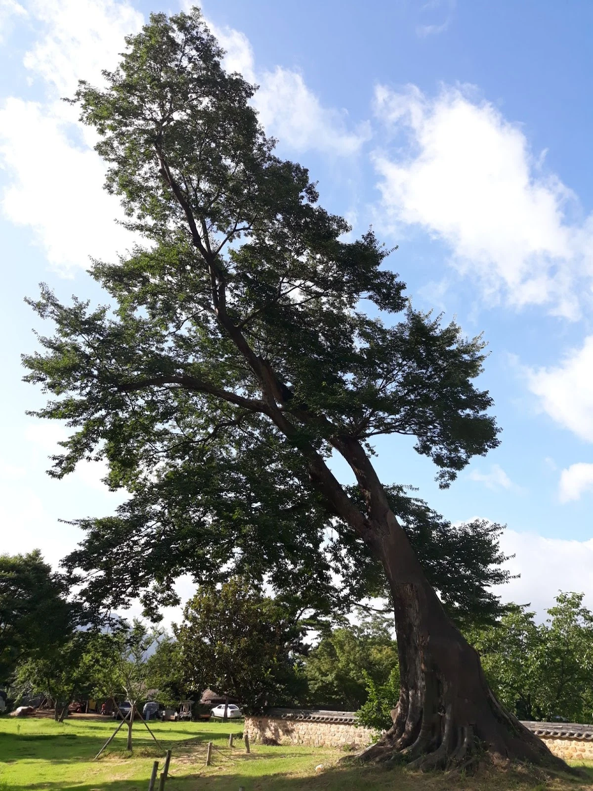 09Pg-bZehRHh972NLMdsLM8U3T-o2wiL6kRiiiNWIO5z9qdxoxD5R4VeVxzkO-fgJgvGK0YPxCl54ueU0Azl0M3ldO8hbYFM4ptsMrCeyk9dF83a8KvM3TC1Bc8JOFTmU4PeMK2tHv9JpUmS_nenWbE