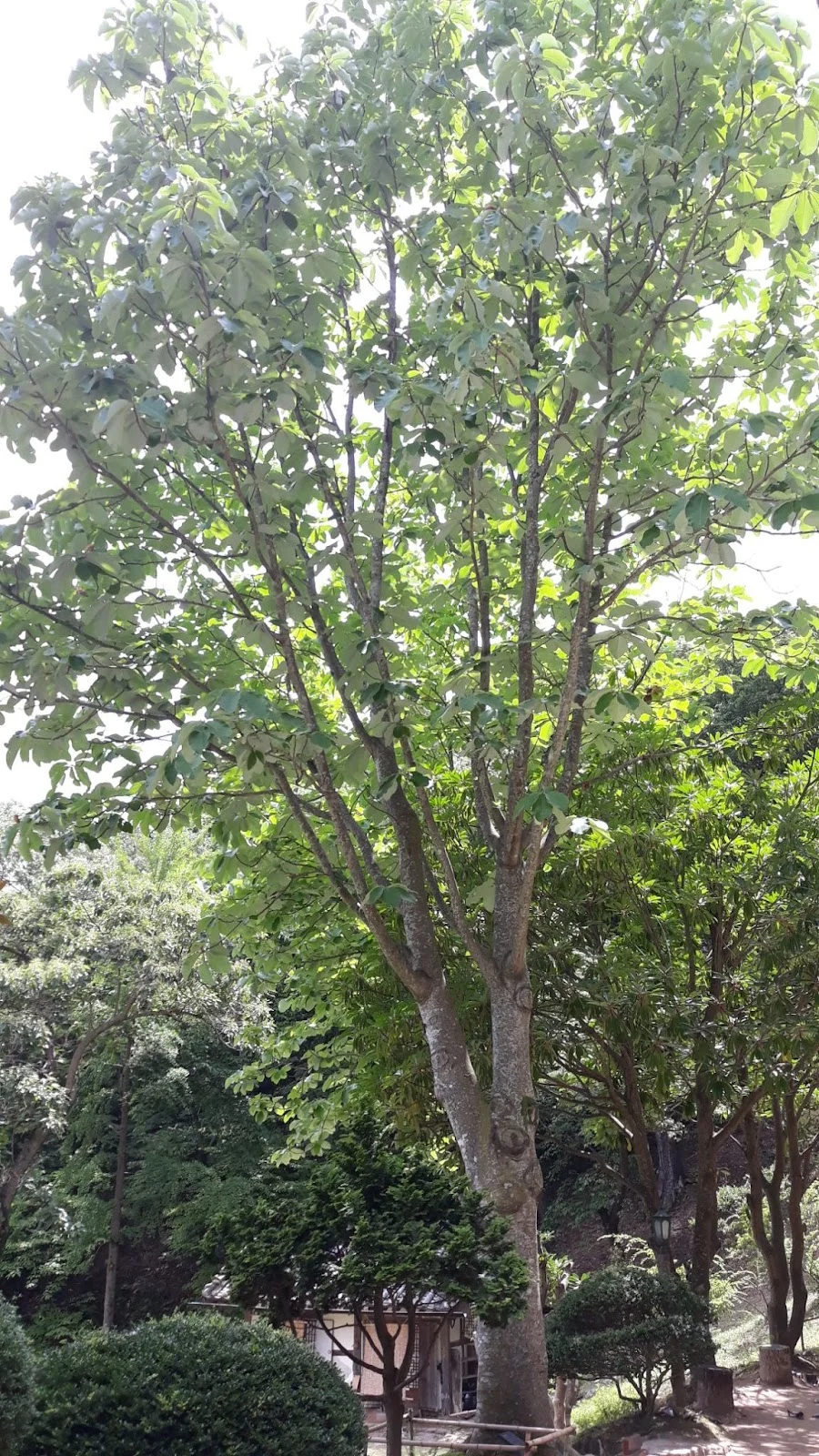 w4x8q8hR_QYjSxYShmOl4dSFMdLkImCJ7gTbvfHWDhNvRqVS-vdYjk-QJHyBRBKnvWwH-xF3HtsaqNi3wTZPqOlgcvALj4yq8rAblezIvS9xAN6wX4jzxMrPcW9xkFSHHW6aWTBqKIs_T57YOFwYPdc