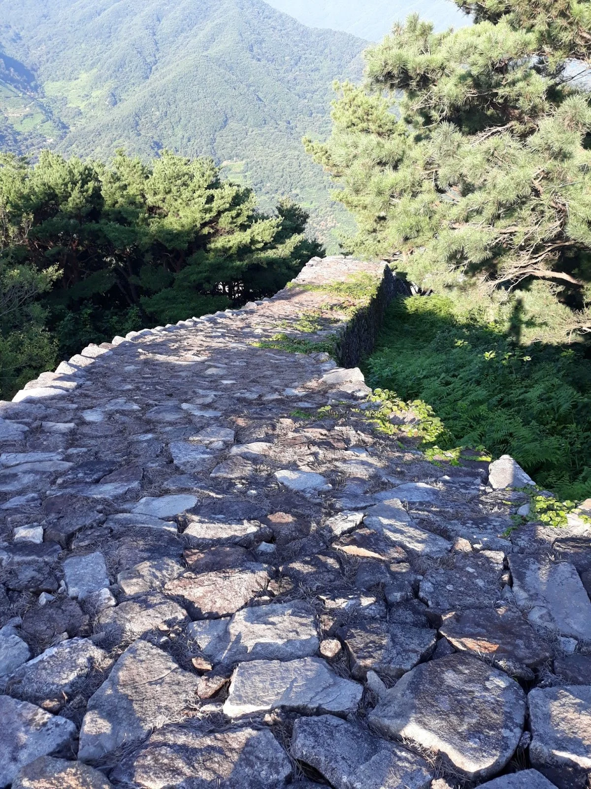 7qHCz_nZcj_zyuuVa_-ieZPupYviXod_9cZ7o3DqZvKPTeAIboNqioWMv8LYA5vokRJLvI_GoCzvF-uz_zVxwxBfxRw6IQv2awe9-PRlhYY69fmj__tvrWjjV9arJAlnWzQWJFeWgTHKRXcRgQV6l5M