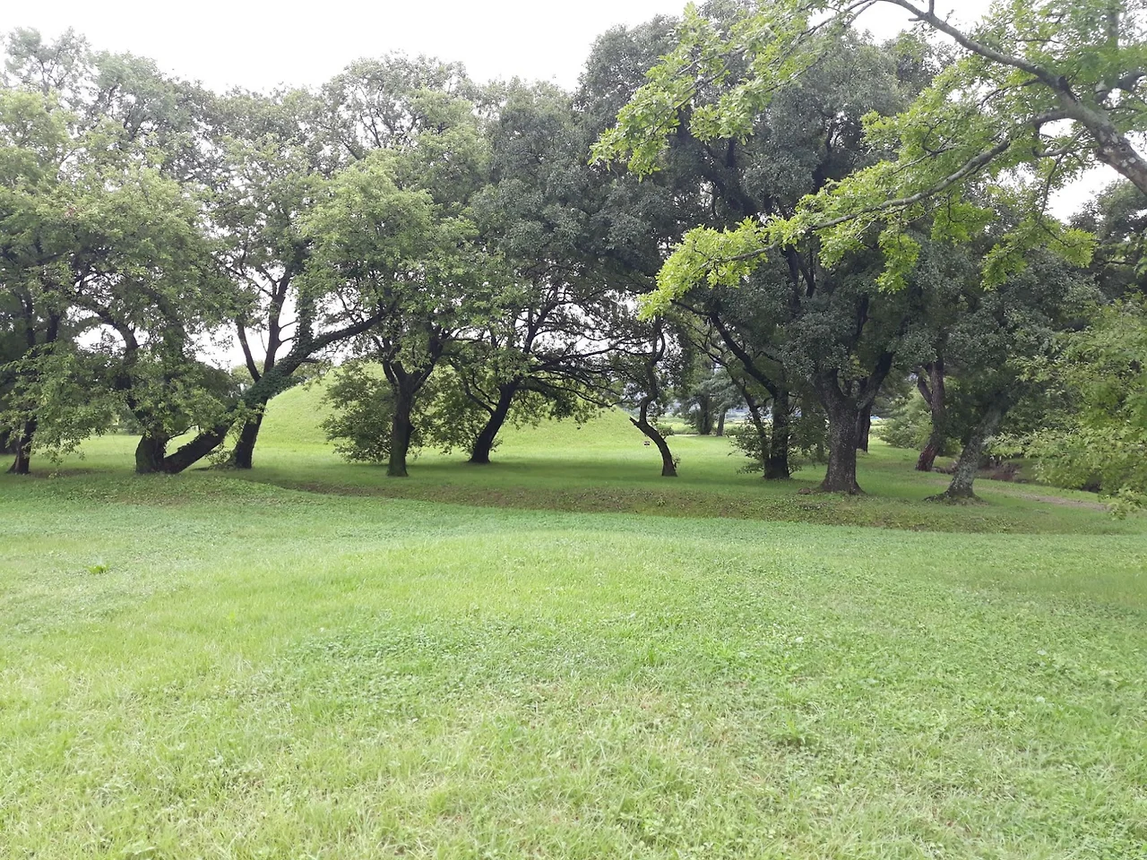 Jl56aojiFdXvgIXkab3hzbY6GURMHlnTBhTTXZbr3idb01ayWAdsKx4PhZFjZwquQwHSAsSKmTXIbyh4tiCIZcvZ9RKy5INgJgbHuQB1MOHI_1ATTNzHrECAJ7qILuGgmMQ4l62wkDgcrvJWalQYuhY