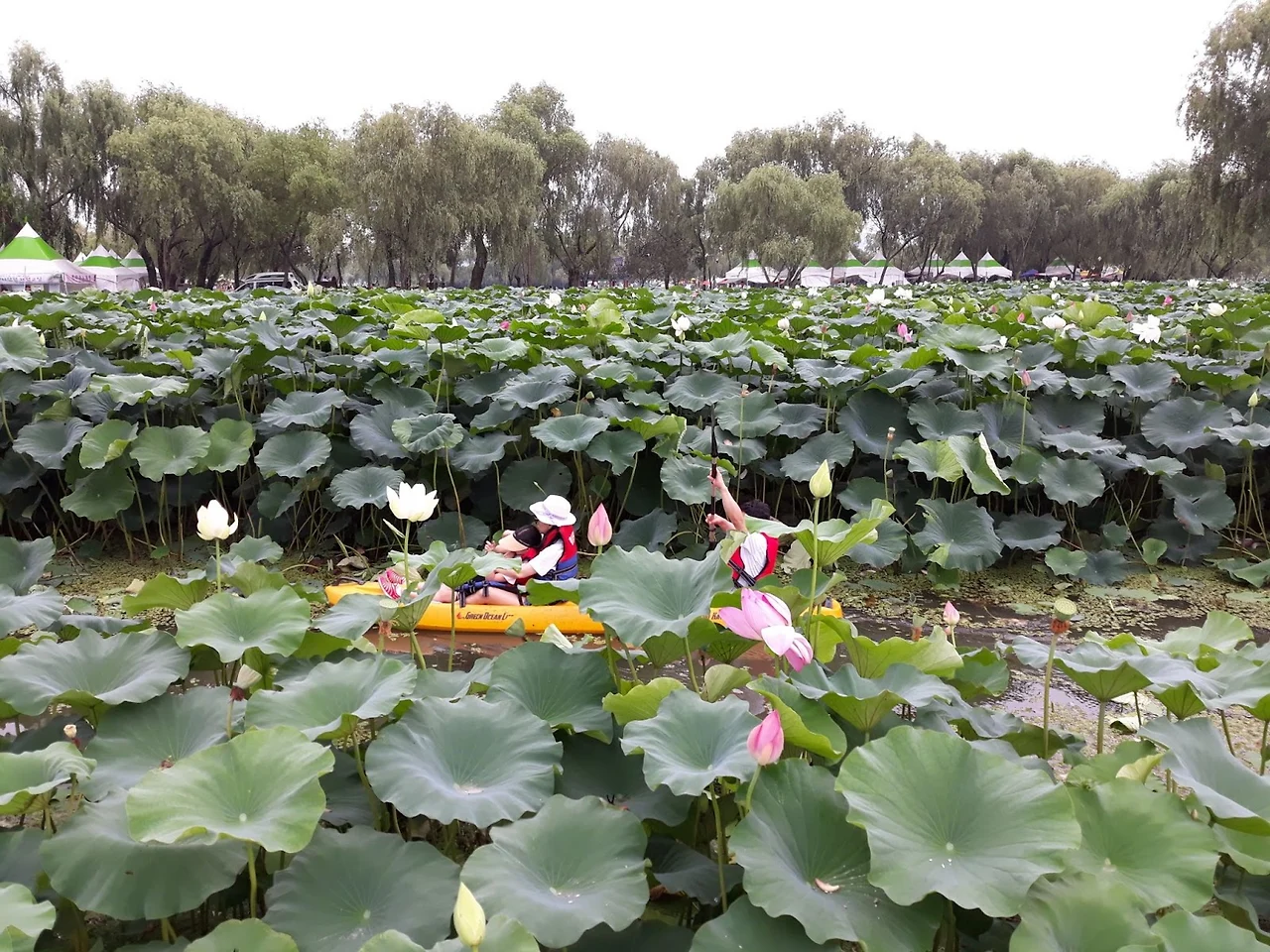 NoYVNZ2Pnk-kybb8zzYgTP77jOj8s9v4mFOJWNLfJehkbKbfv2IV9pcQmEwlxCi5zQ2jDIqX1qXseDV7CwZv6Rov--xDfYqqczGww1_BiM1AE8ShFTue9NzlQOvCFQzeLX54LTHAjbcI8iZhi2if2bM