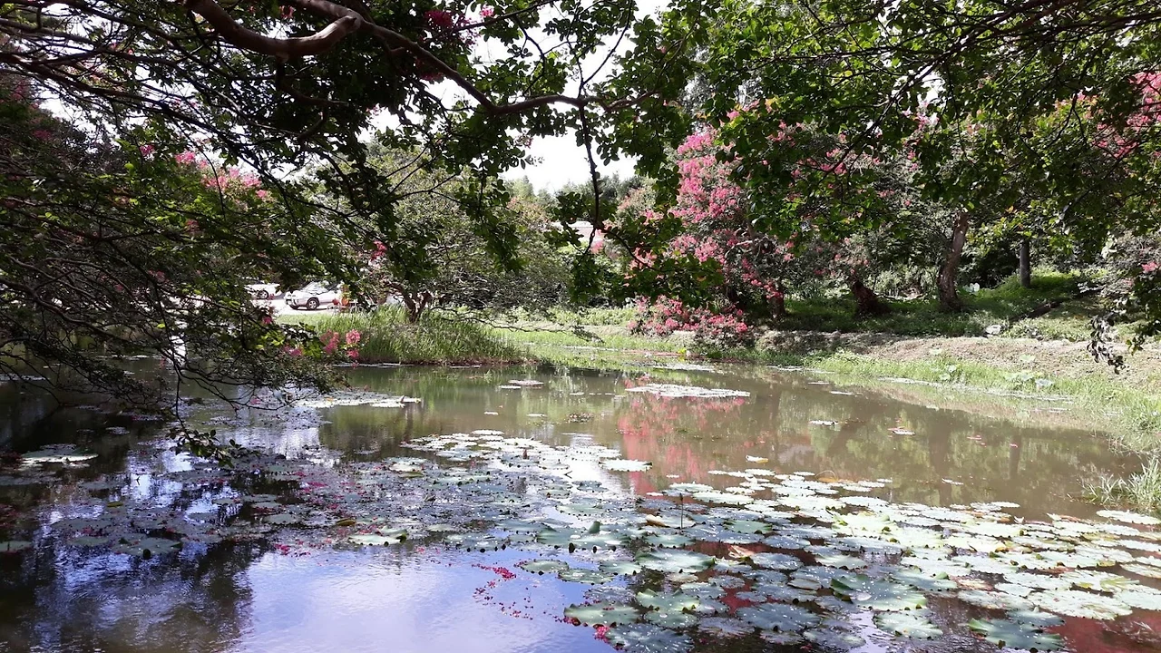 Eg0mgN0axd_Q5ee2ldUq_5Lz35Q1YEu8zBMDPQGUiSXaAoL_ykFBfeZhup3Hzj1Ab3vcIIwidwkub6FLjWLEx0MXaDwDhLmYruIoGUulKEFCS41-E69GYV4GlzOBMTZKNAESyFE4YUE6Xvb-Cu6DmIo