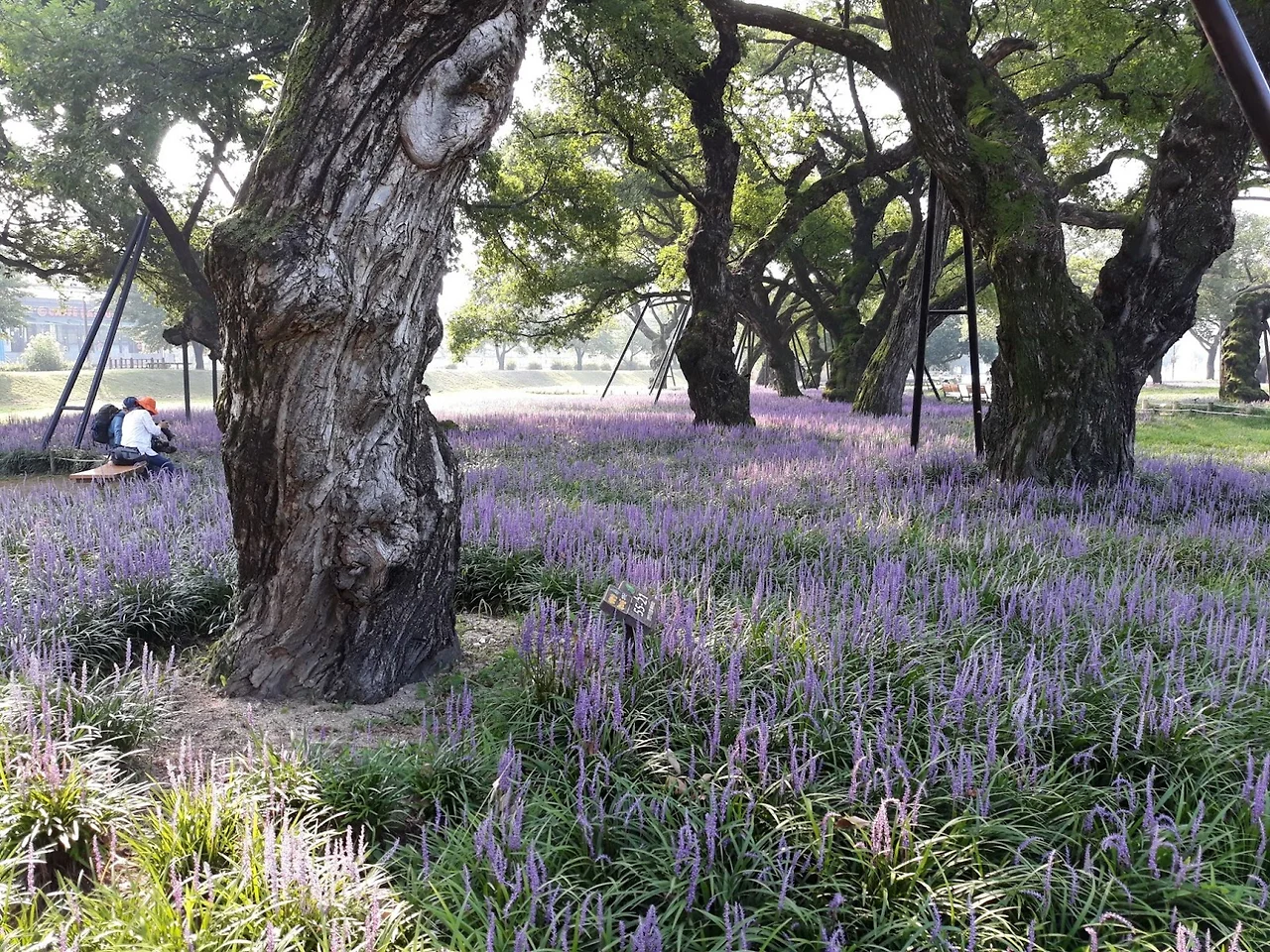 0DAXa8vTZCjMYzHW6YhWBtb5BBGEujzmEM_4elcDWkBuTjFMJ5tOqSfIU0uTEUSr8uuuIfAvmfkXfah0bD14Sy4xG3vguyR7VHF9JG6xBhIGbmtkfX4OKzNQnrJvJ24IgR9G1bbLvP3bg8Y79Vms6Sc