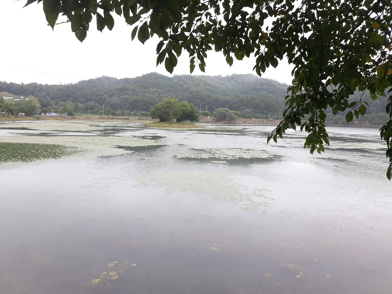 OqmQu4tRn9IZrHX12FS63P4Z13-Whuy58YAUUax1CDOb8svdV_3t1ca9hyx9emX_aVLy-Eatc8Hy3N66RNUQKOGU9sZt4EXTeTTyFUvLtZQbr9wUPmE5xvsynlXhjwZWs9GDPSQac0TPV6GhMDURCfI