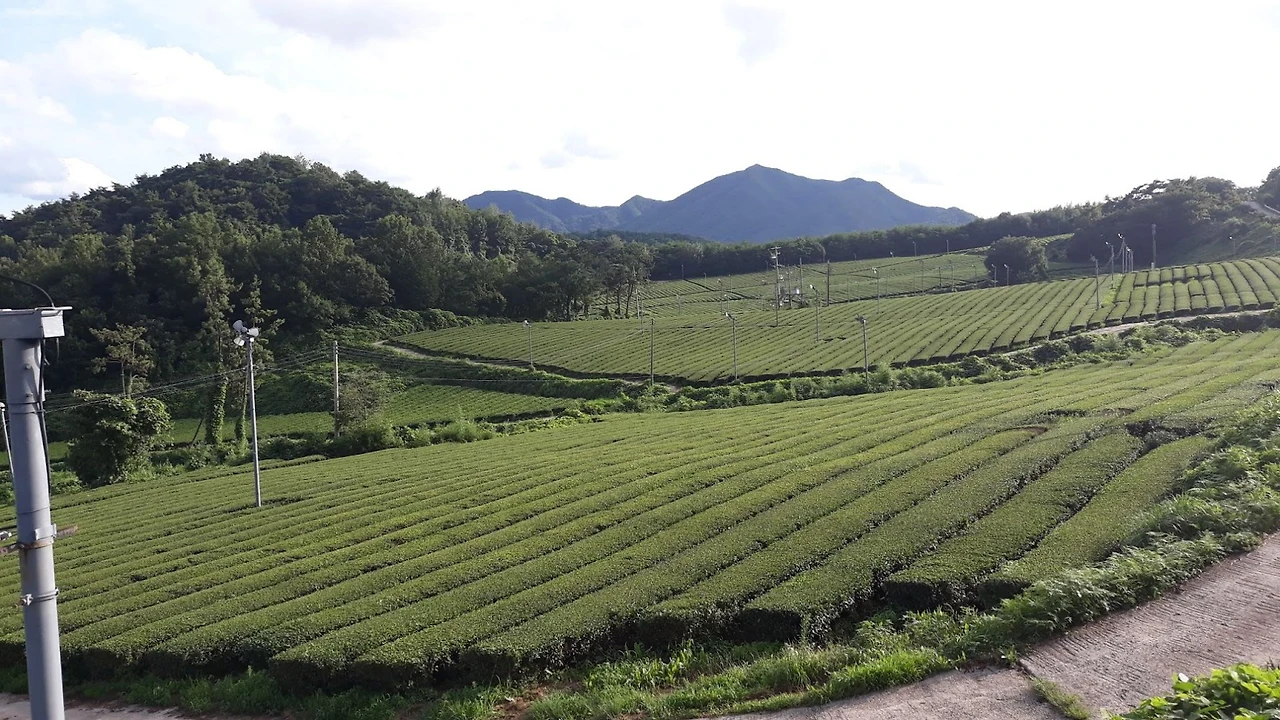 90MkcTrICKwFmVHInhO_vCMaEAk9WllcnHe5YDCJ4LZIPe_0c3TEcZRnlpWbUUPxv1RtWMJHk_9bn2MsVhlS8k1cffeU-lLjdl8qWq7Rsx1HYHrjxRZbUUVbd1c_ryDiQM9l3lO1eeKR2B3WkAzRG34