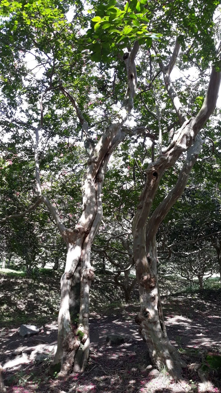 7RgdE6s8XELtpNFwATEr9CyhuKv-3W-U4NIW3WTP9cjqEPLx2b7AvYHIvwETSUVw1Gdrj--ybmbpjQGpwf-NzSc5h7Fch2ffZZsbRNeXUllbOB_Hoekw7OJoQCKaYEU69Ufkg7Ss8RbpuN6T3PR2AuY