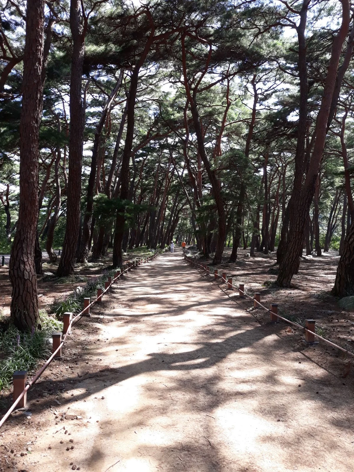 PhnCZuSZq-7DPKSjgnIFhG-RtpxWRY_xKk864VZHTZwm_bH8cCrbtVZTxO_g3dE0YSHaPBXj6H_5nqw7wrg8RqbLssqFpnVUUnsY0uz0PZcYwr0tyZyrjvV5xfyglYWeyLLcAlTHuBgLOClRenAfsQM