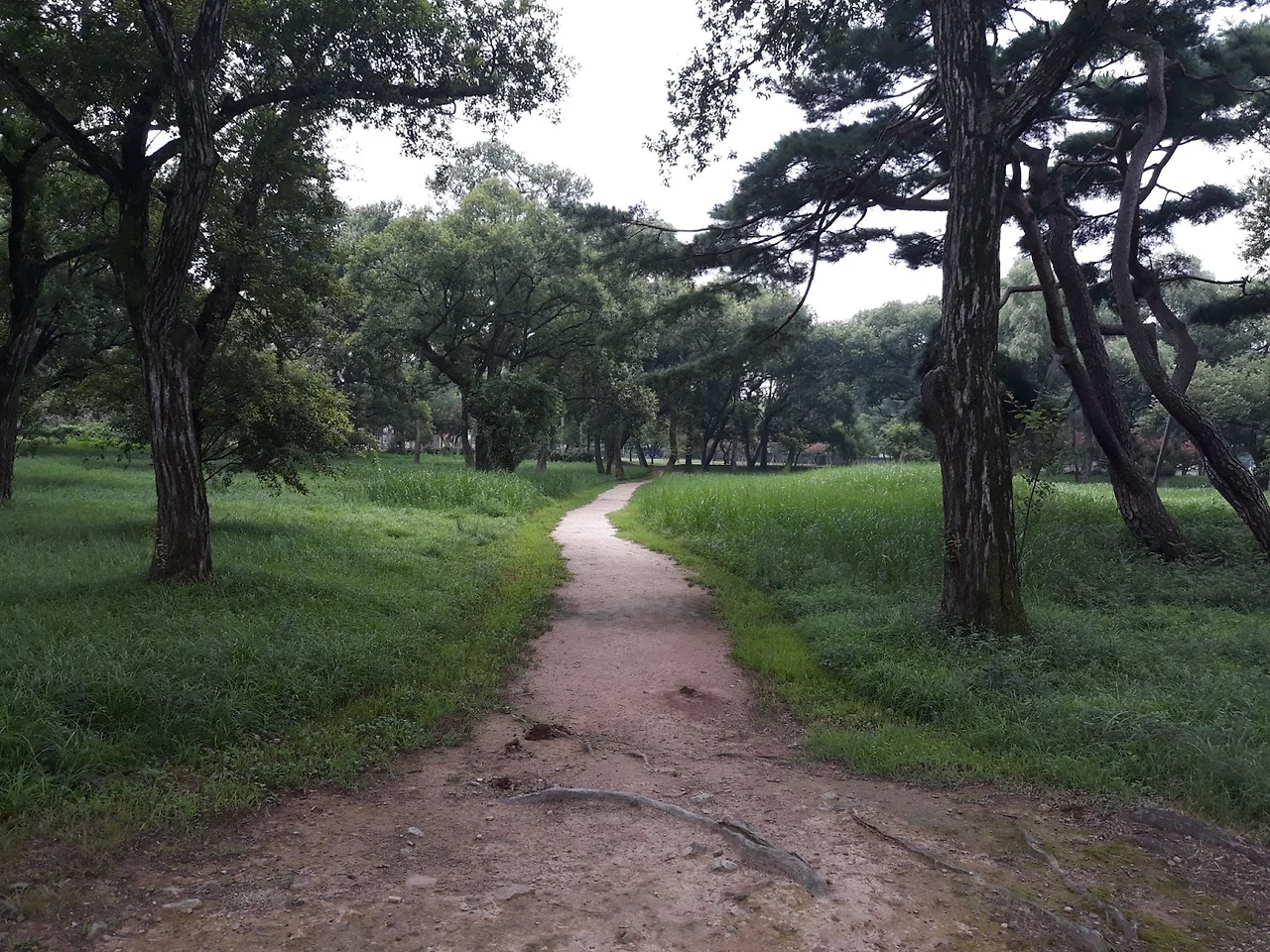 INlxDqSinZTunA4nUHUxK6zRUvGHOezi702vPFhAxVUaV9fKPh__cXgSHIUPTV2JbTvM8qGTDmvLITGU8_VOfU7Wqc4vmqaqFA_4gopBpvsM7ZzI_bKcuQ646fWR95wiIwNuv5k5TeXaTH1BV1Ik6rU