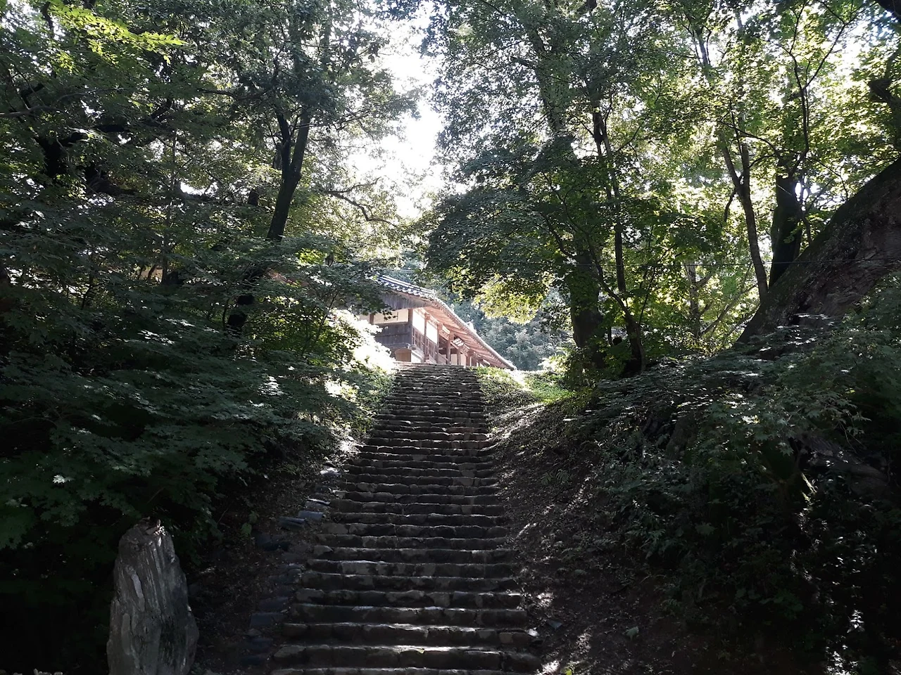 CgMBnM_zwH7A36GoerzSY4lvPEAcX-jT-bU1vP1orkiCTYZjP5N7MVoIIBIkZhaaGTF3IlViw_QVESR-G_OVlXreJIZrzTu0TwtzGnrONCcBcag9Jsc95Lf8sTLNJuXV7ByOdeoswGCxQDHwNKyYH9Q