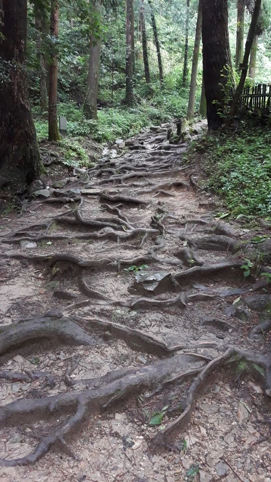 v8JjZxOU2i-LS5JV3JOI24iEN9dCfELN9WegZqJv6DDSTlDg5ulDyrx0R9-PLdbbwgv06O_5blWVoifxMpXshloMos_yoCTiHIuua4aULZW1hNlW6r8VBcNE8t4Qai2AjEc76LfAZIwxQcETlICtmQk