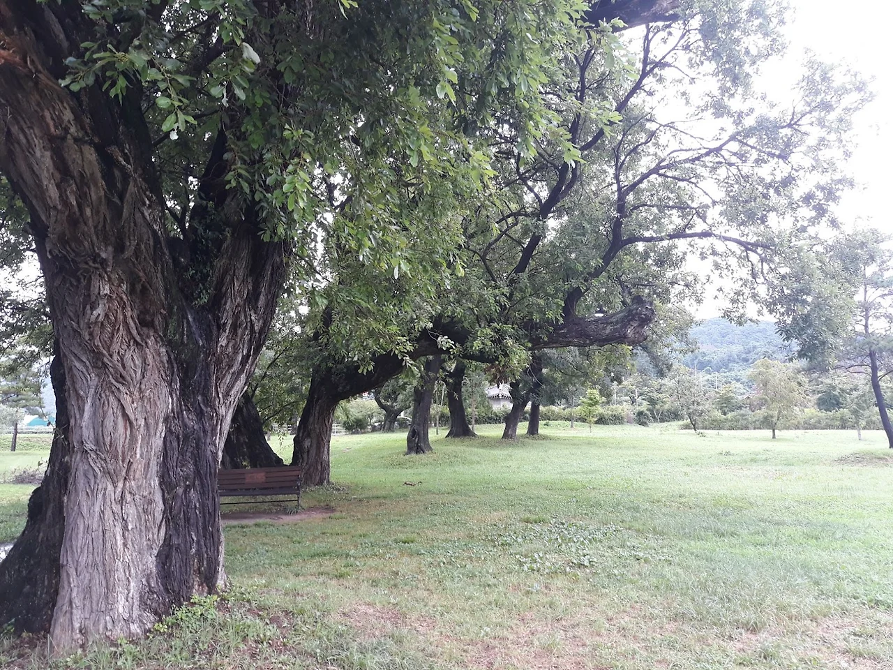 FIz5Pt1_yucCqTjpukkwBakK6PrGYpKvd_yVNYc57Odq4vMPyxETVkBvqzDbpwpM3y6ezQfGE7nMUIUPQc57kDBUCK66eNEG0ELDlMl2LDq1O6h_V1QztDqdOzbfGd9N0oK7vgwOP6kkcpXjpJxvW-0