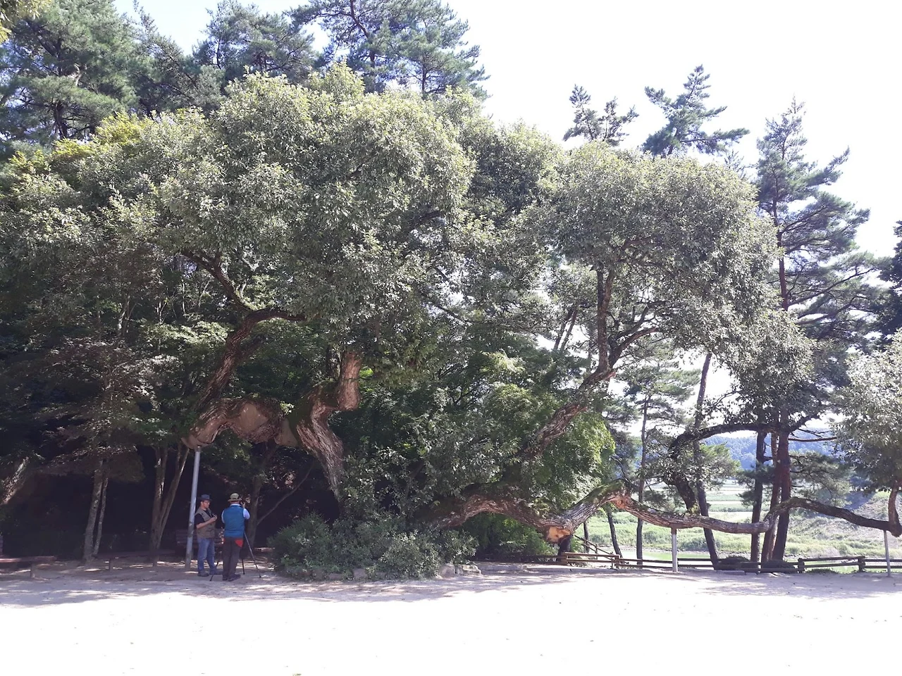 Dnrk95-pWPEbElOEP8xX1oWFZxIwJp1nwqjeFkMJwaEJDCmYU_EEOcGjlPt7k6PCjUQ5bMbHpHM3b89qYBj33eb4hVniCHPiBwxwPTye6O_6uqU1UfqO2h-kztfyiRrRAkKm486TWXB2tTOmkRU3kHA