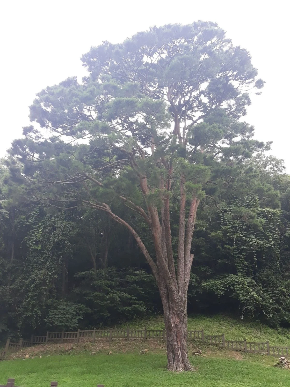 7VJiaB-ih45Wm4fZyueJBIbxt7t6_ZW0oiMul9AB3dFeuFA4r483J4Dtp1DvyT00cHGVwAy132K0y2gLf6an6H3yEMtsU_5jE6WJ4f7NZWZBdrON4UOsalQuTHL1dfsv_zO82zRB9BNSrIOduMp_UZE