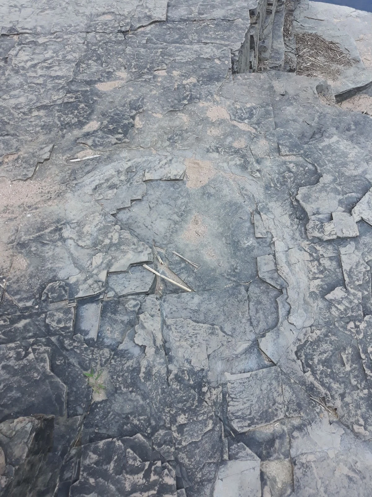 zzGqqOLwDkdBYM3nZ4Is1Liw5ZkGOvWbdY83oiGEcXW1PdNfzjHdvwAc-MfXmIargqW2bWqjkH_w8XFeFacMtpNcVNMZf2Rji_GBm96Cp2jyr7fEratUNeE_E_EuiyRzxbg9IE9pyNG-tRS77DgMuZg