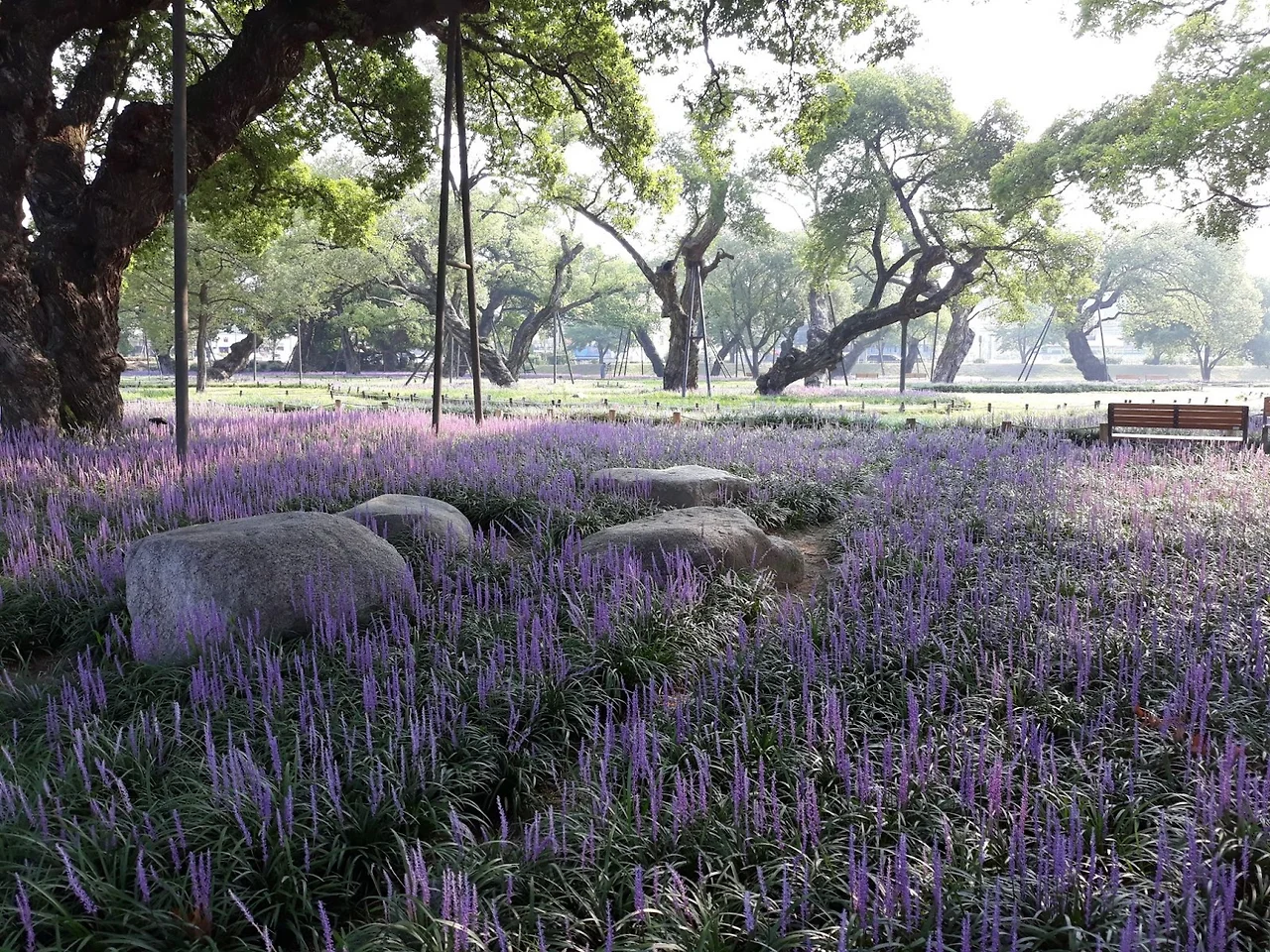 kussrIF4zcLEQgl-5dI471mRMT8QwQoxvCM_AJKmoonABiA23yQ6E6jdXMQi50SruCkzLd_S7APbJDRj-bng9o0fjTU-FYwJhGZB8BCxkLGixQByOR-glCVfA6Kor1Kv88P-45cvd_5USJxyLdfqQik