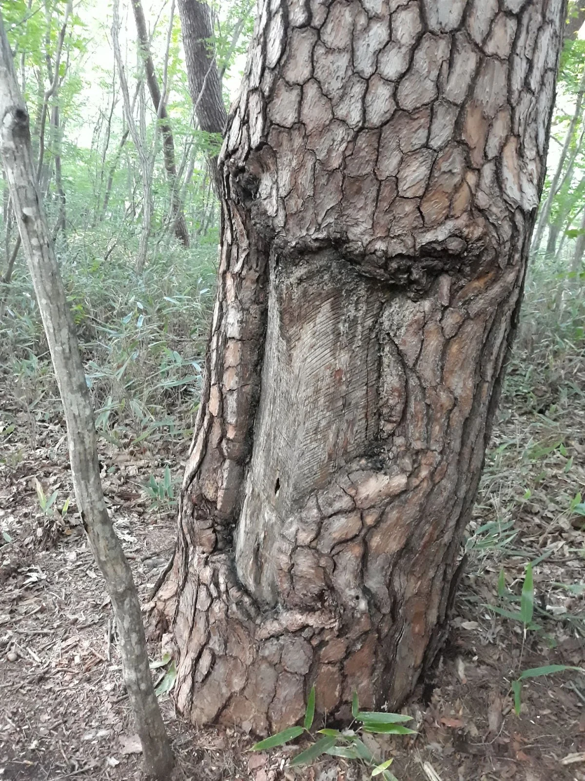 r4wCSwXWvCI_-hAGfQNvTE431Ln9bxWTWlCK9Y4aBdxEBmo7gr3x9yABVVdhJoqhrJYjZOsVwkWD-dfgC9U8sAMjiXhmP-icLgI1mrZeBg4MHQTWQA9dOSOp3bElBp2fzCOfISw4nOn2GKQDmm_NyHI