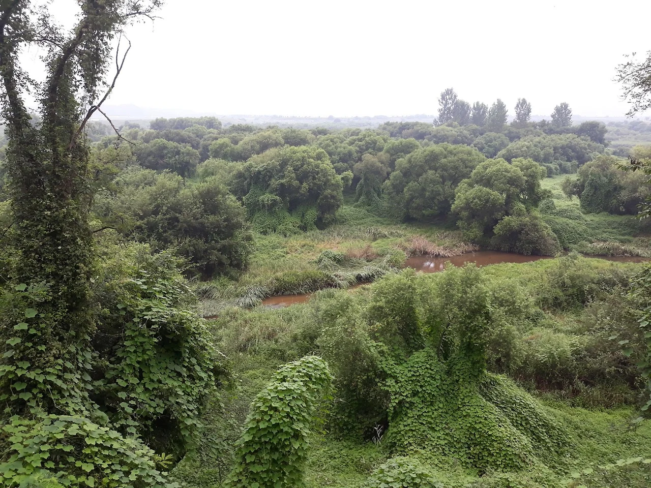 OJ3puJmgD9JlMtWpGIn84jax2PF0cLr69iigyBjQz2BiMobmQL9dpTsmAt_jZoeeRSTFhvztQMbHgKgGcOGJ8LoW6FSwRpTZKut8yHwAIcuCMTKwMQ5xsHa_U8rVSf_vmA3RD7TKrgv0jewXm_PUCik