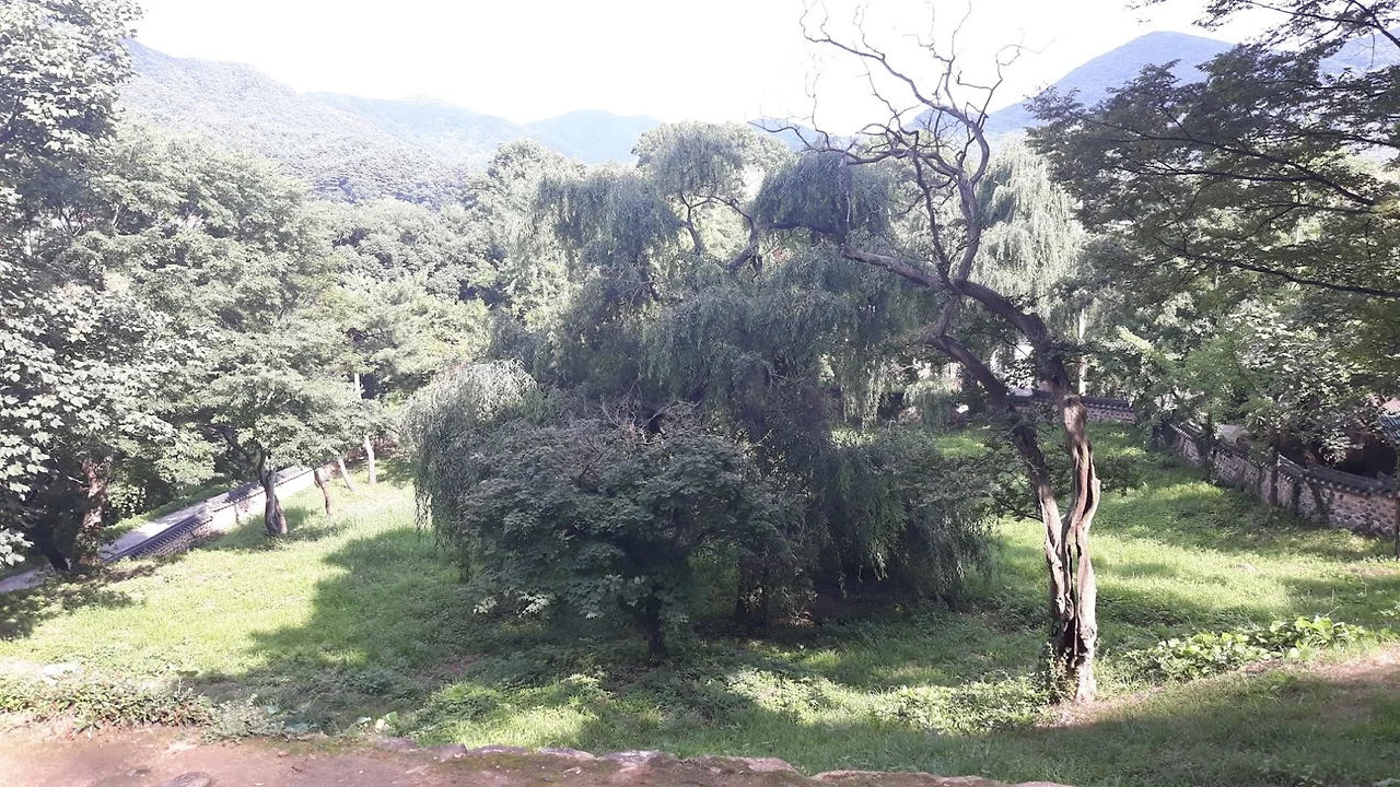 -LW2OOBGefdIh7WHVpQOQQDyDtS21UBPTivtdzz9_voRdq9ddCXdZbnVAo2nnGR9Og76Ylaw0fB2kHxLsiI4Mj07B1bokgq6I-vnkMG0bOiWmhQZkigyLHYsqEoQzBn93YNinReiVUt4b9vZuCMv6nQ