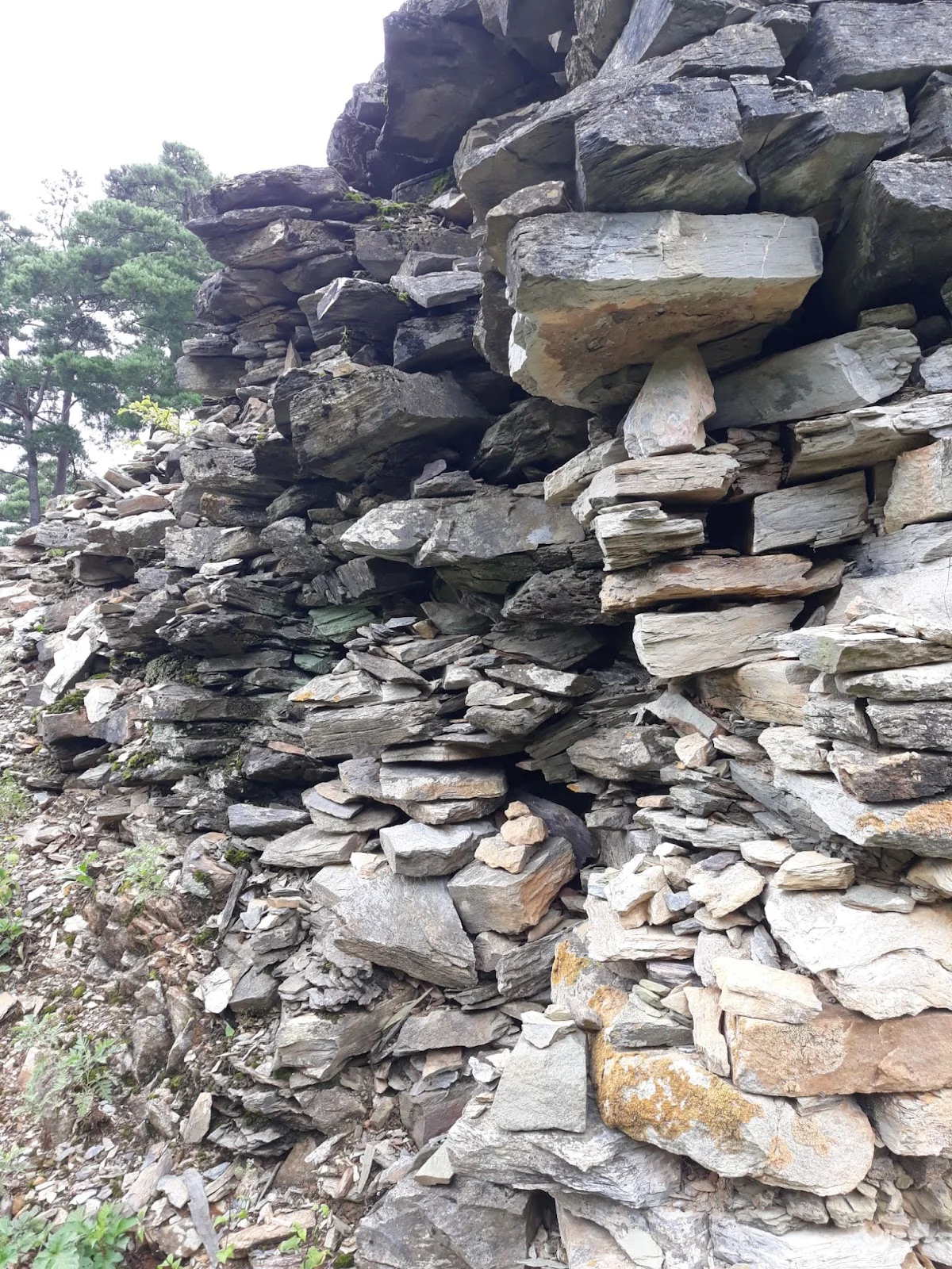 ceIPuBmPGfsSZazJaGoRfIVuxGnQrgBw8TOUXehJDye7tOqwiOnbsjglUJO5GpG2FTeRRWHGdu4Hmh-w4wyuRrFXAHJ_S3oqno0_hAWKzqfcpxai1Foqz6EPXWMpr9G29UFIZhwJTTpHaU19JK-vDco