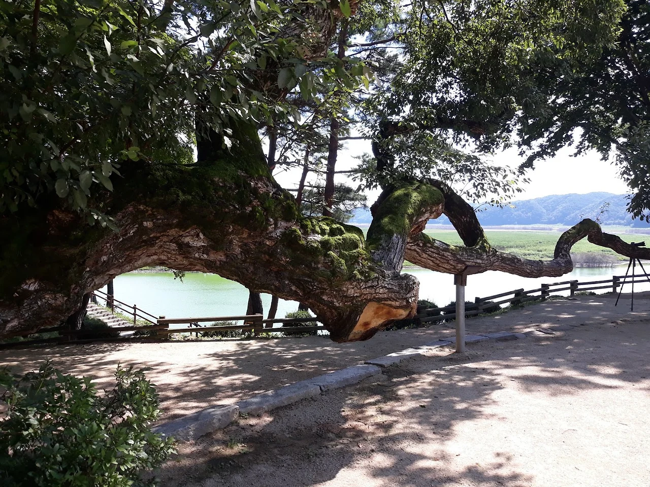 sTKNJQ34Qfs-ztn_sHmmQ8xStvZXg_A2pwHiebAcr1KN-TDE2NEDv9Hdfla6cacyGVpLfuZJPn5otnpZOROcDa9LkhBw35X5DyRrI2yUoDU_m-AFkx14YpBZMjChqbRrtIzyWxX_pxml1urEM8VoccU