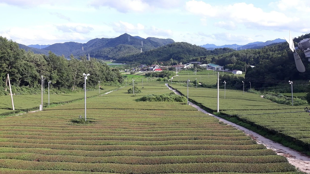 1KYHYZuzwRIqVcKba8IkKWSJP5mLX_0fVDy2aakLKgt7Qtm4TQUyoLNfa68Xz_XnhX8ySzaM05M-fmgfMzi_GkyipsBuf4ClYXlOX5w7edQy3rczbRLeYG9BAfZQYbG7Gl08jVhBfHIri0UQgJmiLLY