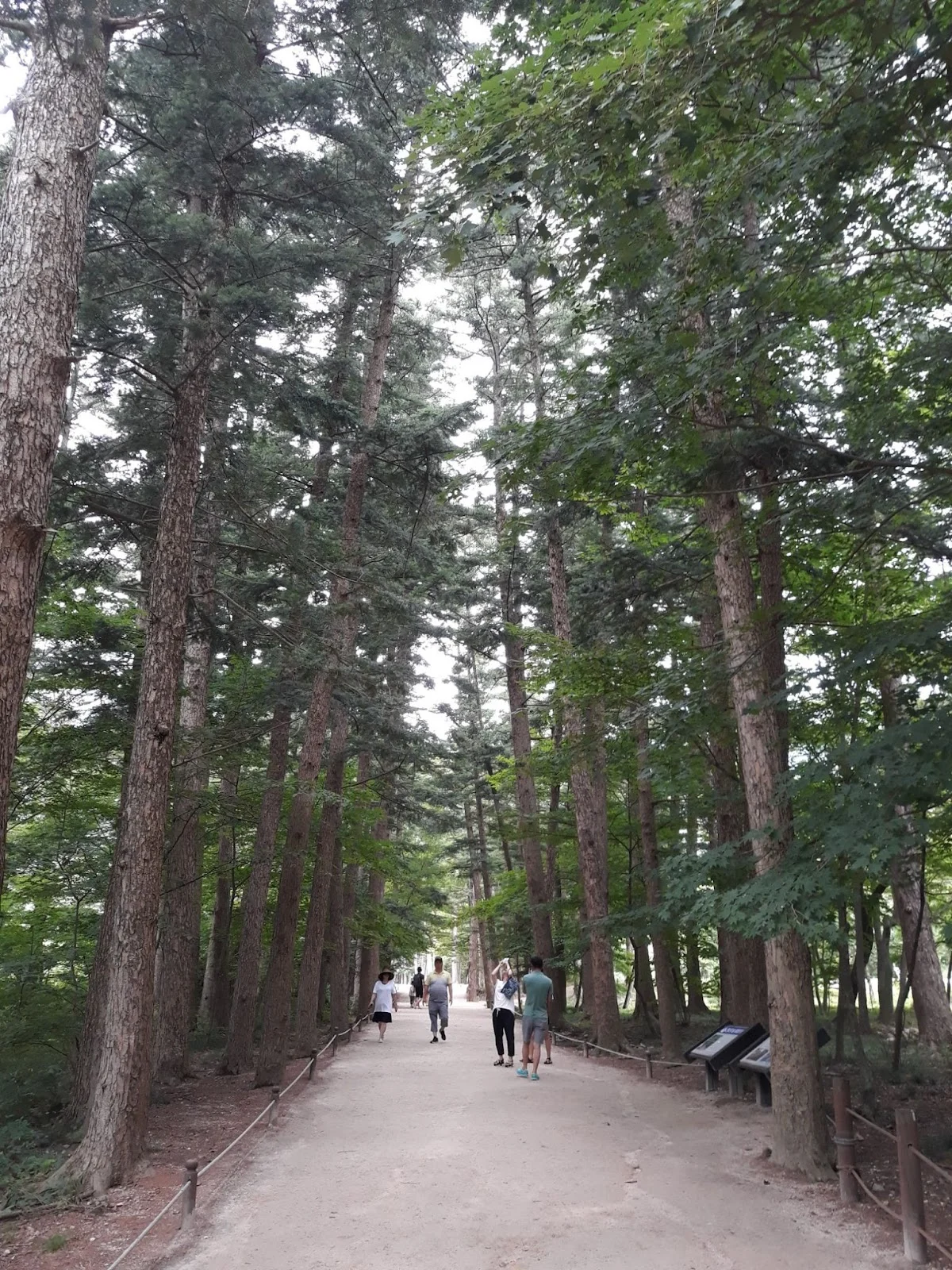 SIqrYl7thqwivmLqfVGh6erwFshjEx7TR1blmmr--S6V1zN6NFLAbPajag7jHaGE5GKKY5Jrfteklte766Sp-ZTGuEIQHLhYUBUX_esOlIEbDC-LgqkN01RiwB6c4JPnh3Y7qT43z9KYwQLrzBxsvS4