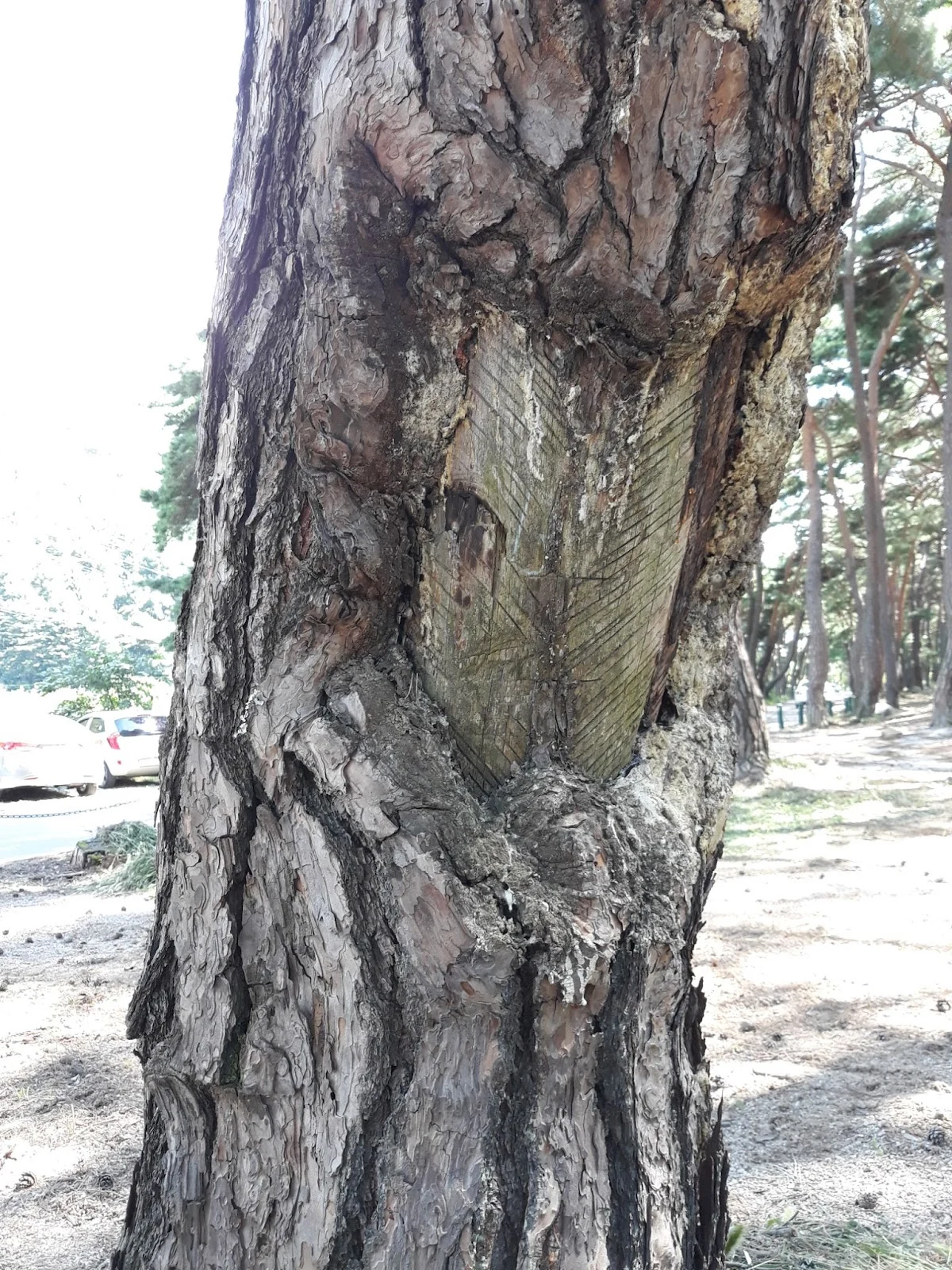 IIfgaOM8vwcUmY_14Pn16MhI-y2jpoCmXSdN3etzeUQq6TQSyC-rH_WYCezYWXMw0RB7k7kSlH43zzhDiW1-c-ybHSD8i8VOKWmd2yY2w9aKJYc6uf-ak7MOPVkyr3MCgp0kRVxb4C5UMDNxvIwcNBk