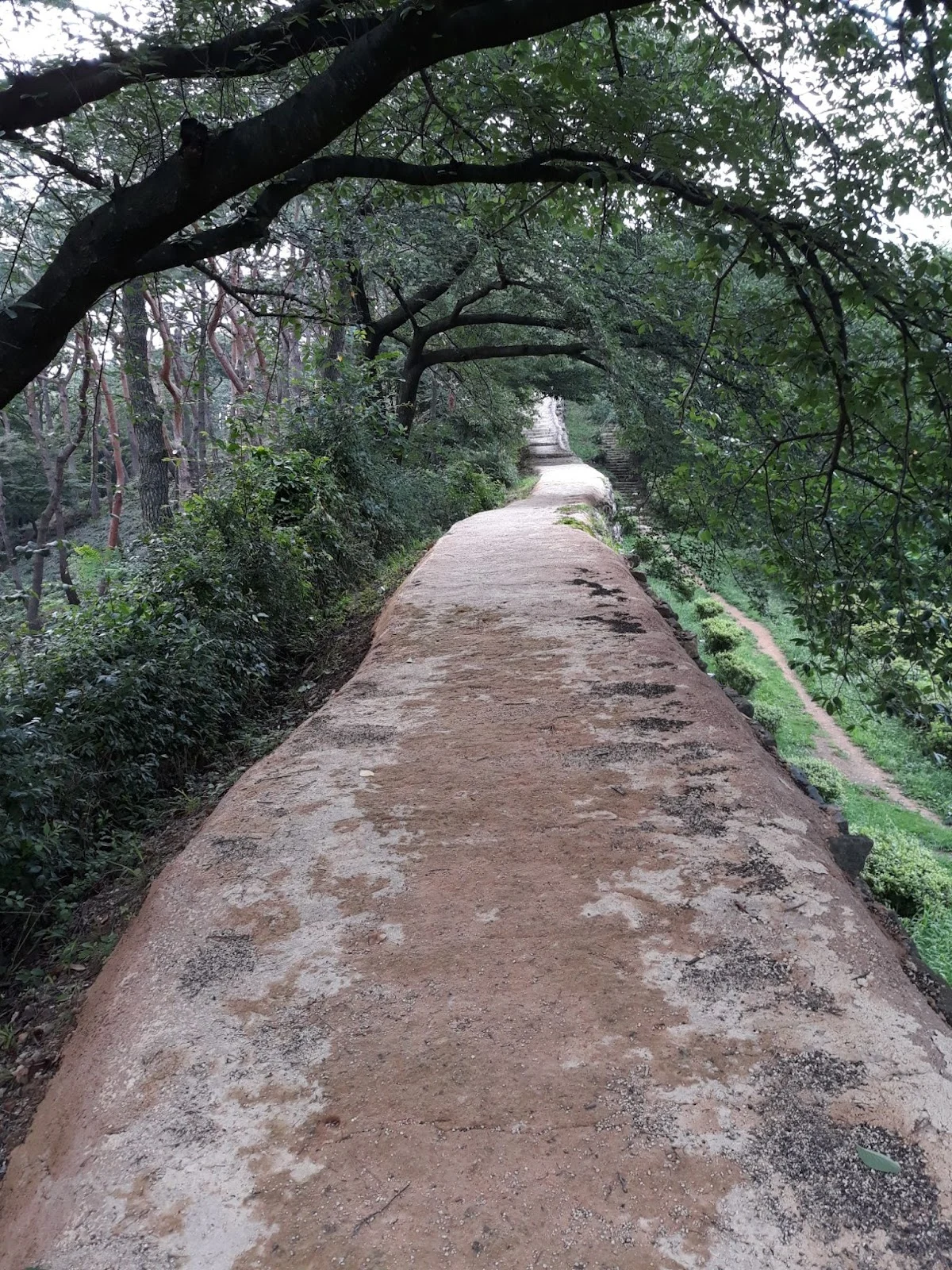 O8n4kS5abPK8hdYPwwGuJDcQ0RUmJImLSKythwMPrgEh57lyoy9tRIv2lnnBmpjwAn-Bc1_xGB3LvPR-iGveQ1-TZag6q9Eh8v5WSqz2vS6lJdXuVc7NxW9Ryz9RdBFGo0hn5TLvXhw5FoaOn-C4cns