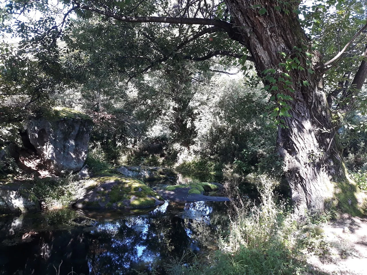 fQNSypH7T3n57ST4A22i6iXa4Xv7O45WBYLGmdd0PHME36MLWC4YM2R01yVslOFQUzXqxqzYEPn9YYEnFaaSWFLlOxZVnRu1pxpV6VNZgZVsrQqQ9cQNHBm-BnevkSW9wDDnfwcje6vOORSR2EmVzGA